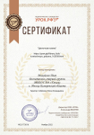 Сертификат о размещение детской работы. Липченко Диана Михайлов Иван.